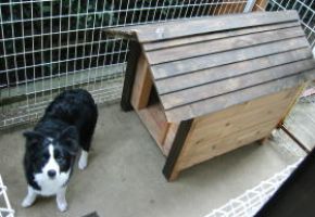 室外のサークル内に置く、ボーダーコリー用の犬小屋。厚板タイプでの製作